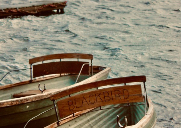blackbird boat sign