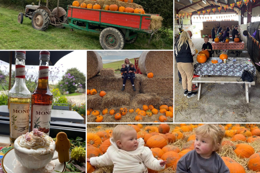 Pumpkin patch montage with people and children