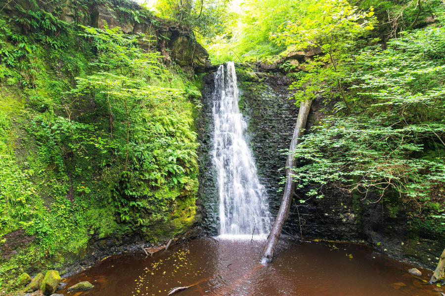 cascading waterfall with green foliage
