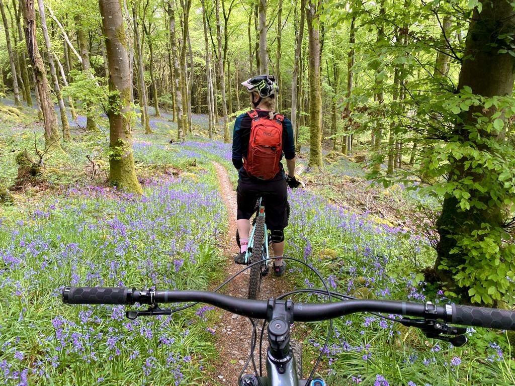 cyclists in woodland with bluebells