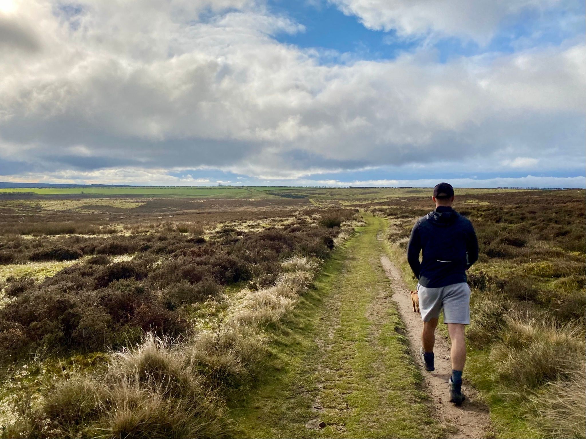 Man walking across the moors with dog
