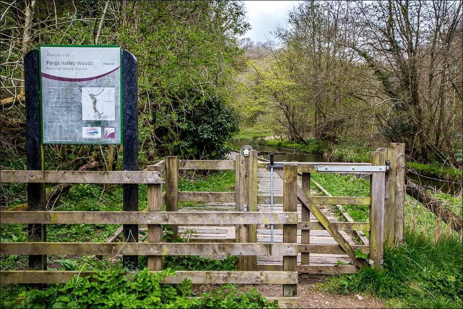 fence and sign to forge valley woods