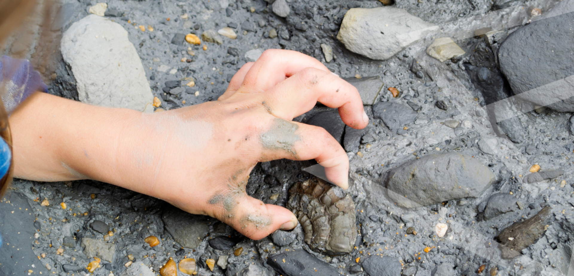 Picture of hand picking up a fossil